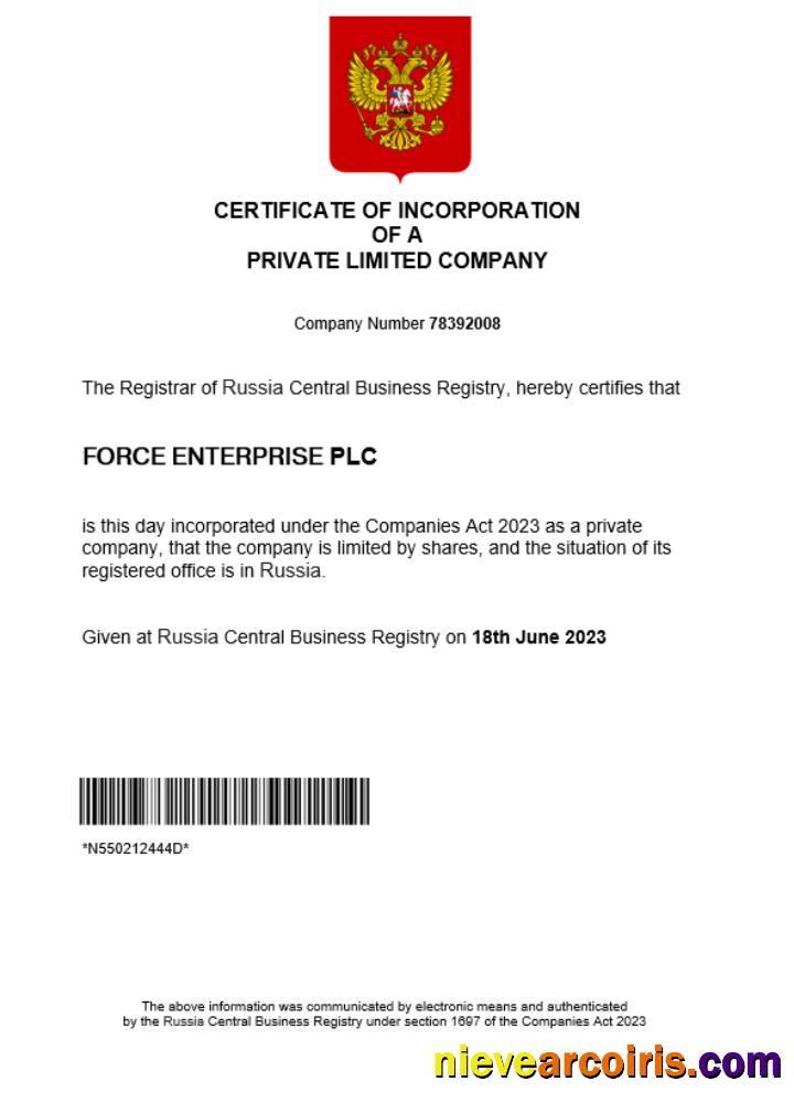 Russia business registration certificate